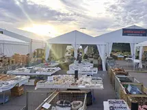 Tucson Gem Show 2026
